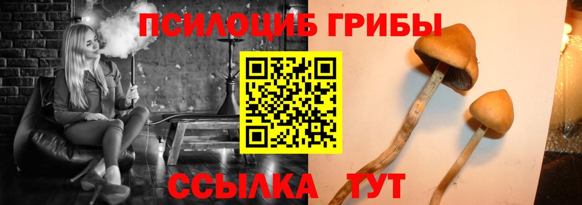 Галлюциногенные грибы ЛСД Тельмана